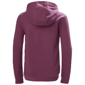 Child hoodie Helly Hansen Graphic image-1