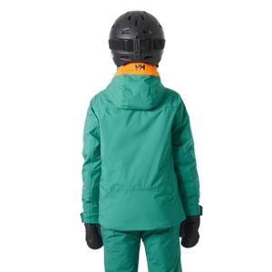 product/h/e/helly-hansen_41763-466_signal-green_1.jpg