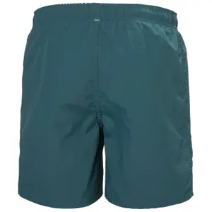 Children's shorts Helly Hansen Jr Por image-5