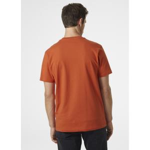 Normaal T-shirt Helly Hansen Box T image-2