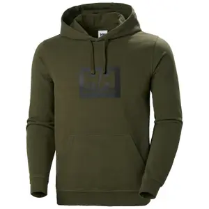 53289-431-hoodie-helly-hansen-hh-box-utilitygreen