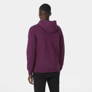 Sweatshirt med hætte Helly Hansen Box image-3