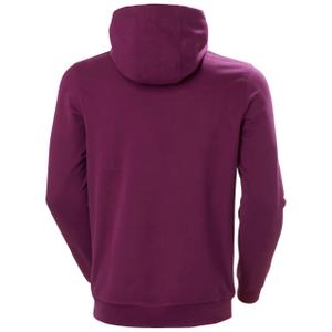 Sweatshirt med hætte Helly Hansen Box image-2