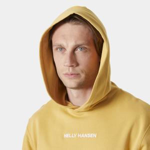 Moleton Helly Hansen Core image-4
