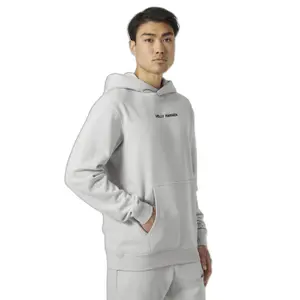 Hoodie Helly Hansen Core Graphic image-1