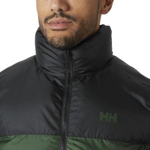 product/h/e/helly-hansen_53989-390_jungle-green_2.jpg