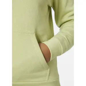 Sweatshirt à capuche femme Helly Hansen Core image-5