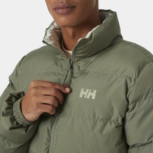 product/h/e/helly-hansen_54060-421_lav-green_4.jpg