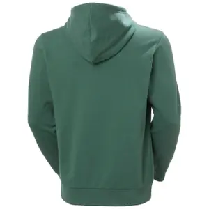 Camisola com capuz Helly Hansen Core Graphic image-1