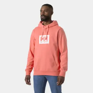 Sudadera con capucha Helly Hansen Box image-1
