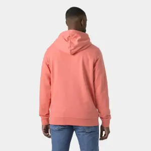 Sudadera con capucha Helly Hansen Box image-3