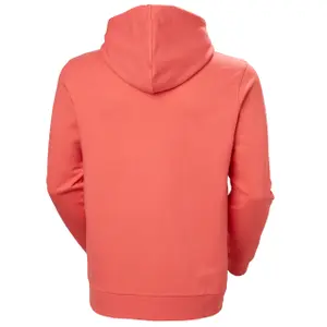 Sudadera con capucha Helly Hansen Box image-2