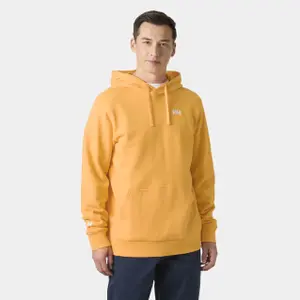 Hooded sweatshirt Helly Hansen Shoreline image-1