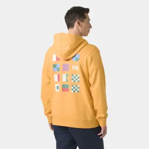 Hooded sweatshirt Helly Hansen Shoreline image-3