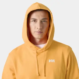Hooded sweatshirt Helly Hansen Shoreline image-4