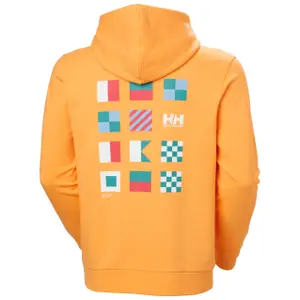 Hooded sweatshirt Helly Hansen Shoreline image-5