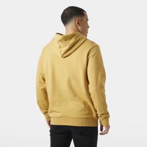 Camisola com capuz Helly Hansen Logo image-3