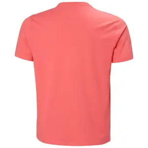 Koszulka Helly Hansen Box 2.0 image-2