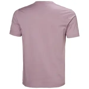 Camiseta Helly Hansen Core Graphic 2.0 image-1