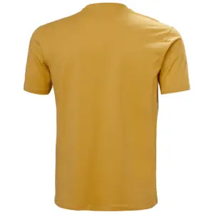 T-shirt Helly Hansen Massif Graphic image-2