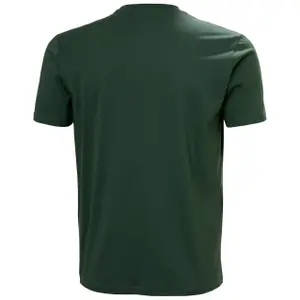 T-shirt Helly Hansen Massif Graphic image-2