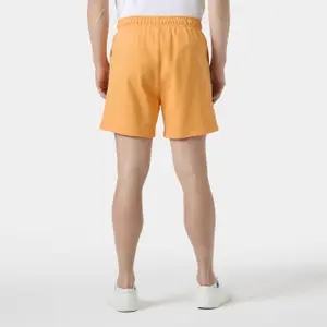 Shorts Helly Hansen Terry Loop 6" image-3