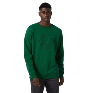 62933-486-sweatshirt-i-bomull-helly-hansen-f2f-malakit