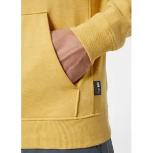 Sudadera con capucha de algodón Helly Hansen F2F Organic image-4