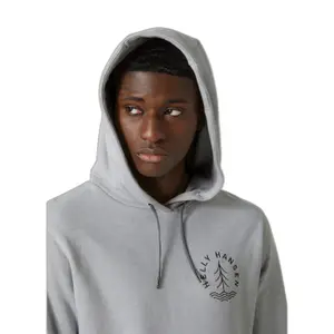 Sweatshirt à capuche coton Helly Hansen F2F image-3