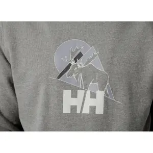 Hoodie Helly Hansen F2F image-1