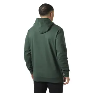 Felpa con cappuccio Helly Hansen Nord Graphic image-1