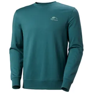 Sweatshirt Helly Hansen Nord Graphic image-0