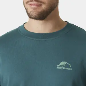 Sweatshirt Helly Hansen Nord Graphic image-4
