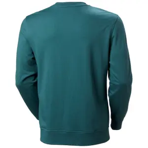 Sweatshirt Helly Hansen Nord Graphic image-2