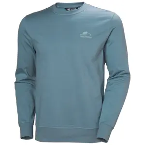 Moleton Helly Hansen Nord Graphic Crew image-0