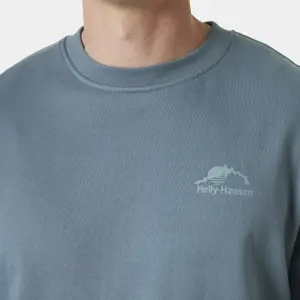 Moleton Helly Hansen Nord Graphic Crew image-4