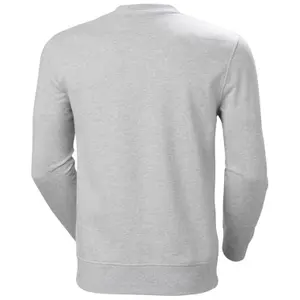 Sweatshirt Helly Hansen Nord Graphic Crew image-2