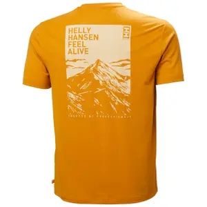 Maillot Helly Hansen Skog Graphic image-5