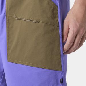 Shorts Helly Hansen Awe image-6