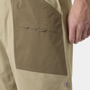 Shorts Helly Hansen Awe image-6
