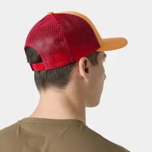 Trucker Cap Helly Hansen image-3