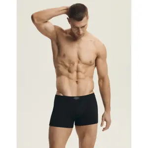 Boxer Henderson Main (x3) image-4