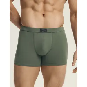 Boxer Henderson Main (x3) image-3