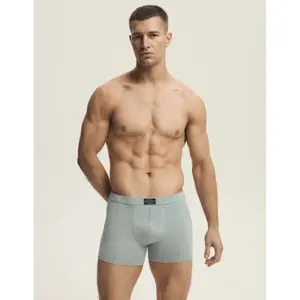 Boxer Henderson Main (x3) image-1