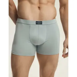 Boxer Henderson Main (x3) image-2