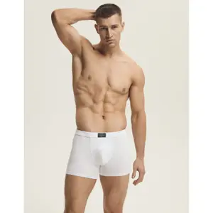 Boxer Henderson Main (x3) image-4