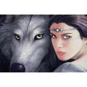 Biancheria da letto Herding Anne Stokes image-2