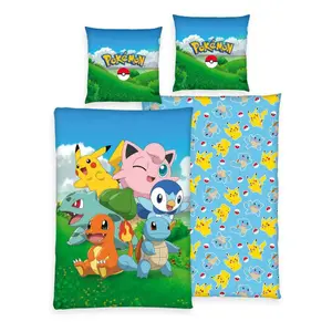 Pillow Herding Pokemon Group A image-0