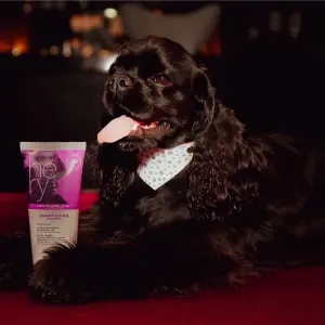 Shampoing tout pelage pour chien Héry image-1