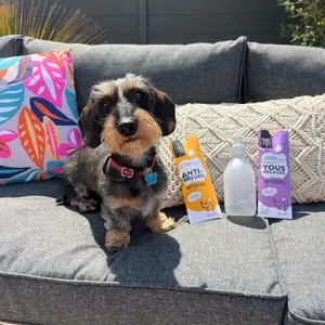 Champô para cães anti-odor Héry image-5